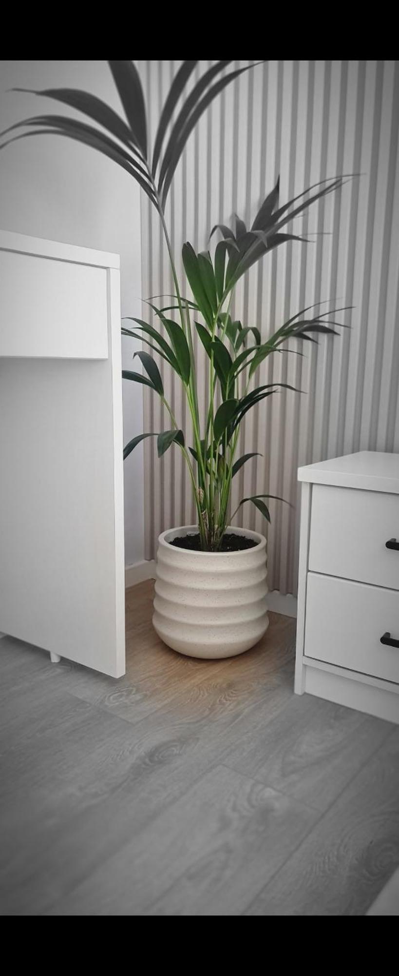Abla'S Sweet Home Tiranë Ngoại thất bức ảnh